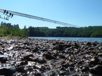 Les dialogues sur la pêche la chasse au vif